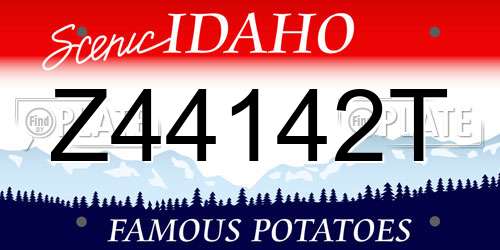 Z44142T Idaho License Plate