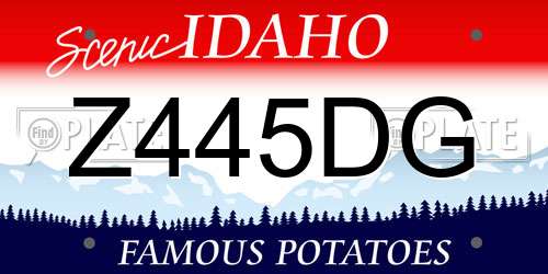 Z445DG Idaho License Plate