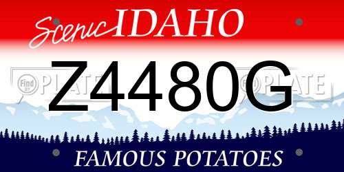Z4480G Idaho License Plate