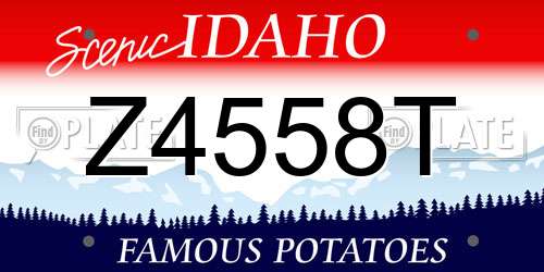 Z4558T Idaho License Plate