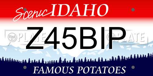 Z45BIP Idaho License Plate