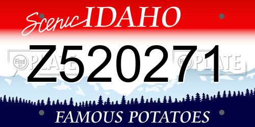 Z520271 Idaho License Plate