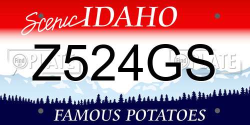 Z524GS Idaho License Plate