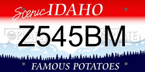 Z545BM Idaho License Plate