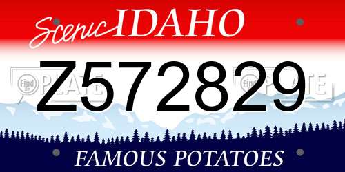 Z572829 Idaho License Plate