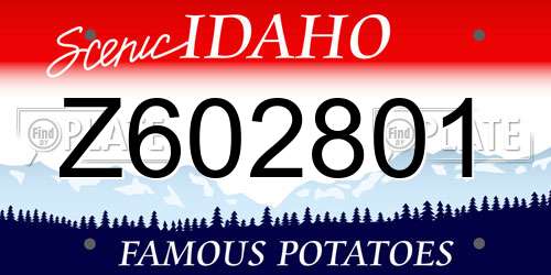 Z602801 Idaho License Plate