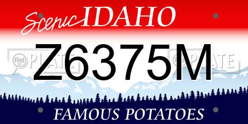 Z6375M Idaho License Plate
