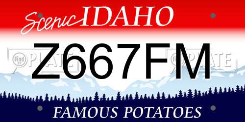 Z667FM Idaho License Plate