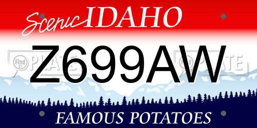 Z699AW Idaho License Plate