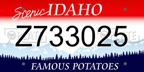 Z733025 Idaho License Plate