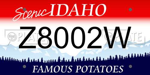 Z8002W Idaho License Plate