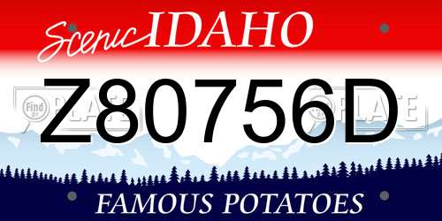 Z80756D Idaho License Plate