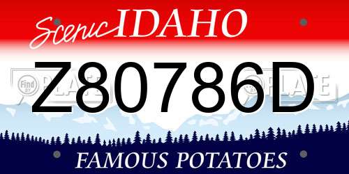 Z80786D Idaho License Plate