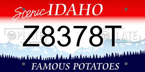 Z8378T Idaho License Plate