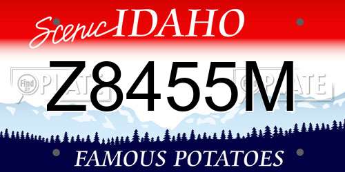 Z8455M Idaho License Plate