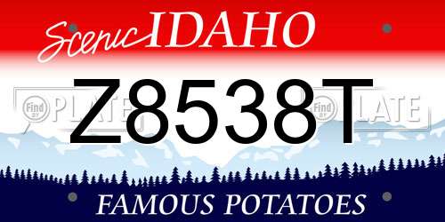 Z8538T Idaho License Plate