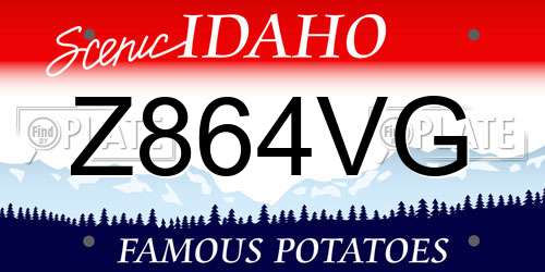 Z864VG Idaho License Plate