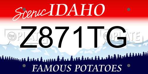 Z871TG Idaho License Plate