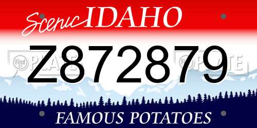 Z872879 Idaho License Plate