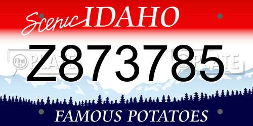 Z873785 Idaho License Plate