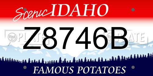 Z8746B Idaho License Plate