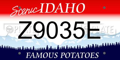 Z9035E Idaho License Plate
