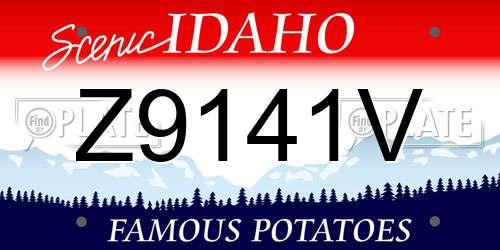 Z9141V Idaho License Plate
