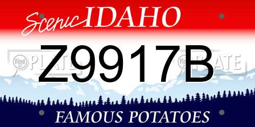 Z9917B Idaho License Plate