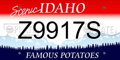 Z9917S Idaho License Plate