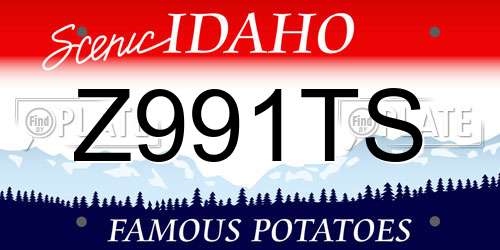 Z991TS Idaho License Plate