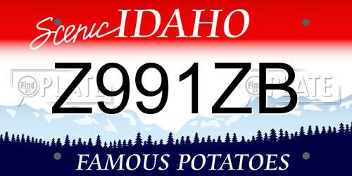 Z991ZB Idaho License Plate
