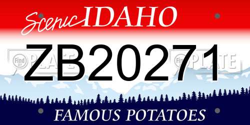 ZB20271 Idaho License Plate