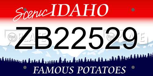 ZB22529 Idaho License Plate