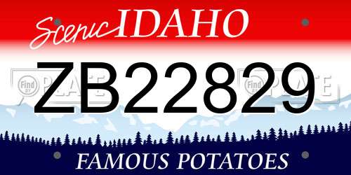 ZB22829 Idaho License Plate