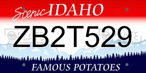 ZB2T529 Idaho License Plate