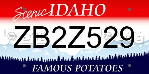 ZB2Z529 Idaho License Plate
