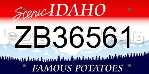 ZB36561 Idaho License Plate