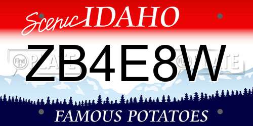 ZB4E8W Idaho License Plate