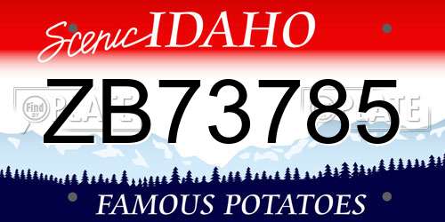 ZB73785 Idaho License Plate
