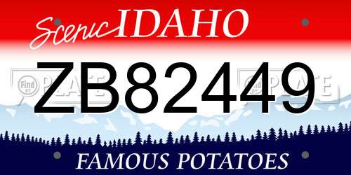 ZB82449 Idaho License Plate