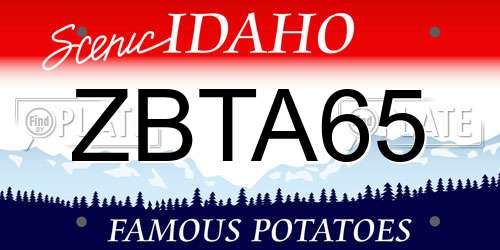 ZBTA65 Idaho License Plate