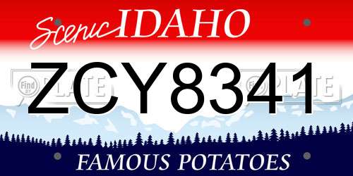 ZCY8341 Idaho License Plate