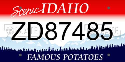 ZD87485 Idaho License Plate