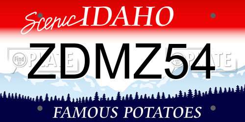 ZDMZ54 Idaho License Plate