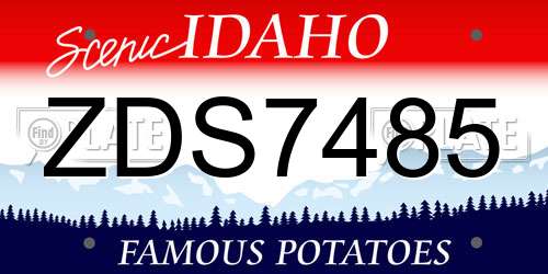 ZDS7485 Idaho License Plate