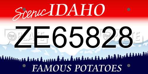 ZE65828 Idaho License Plate