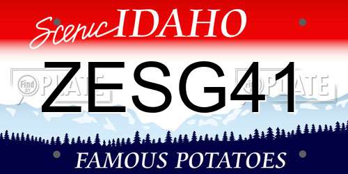 ZESG41 Idaho License Plate