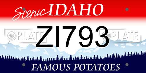 ZI793 Idaho License Plate