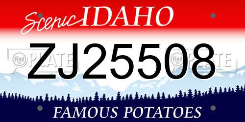 ZJ25508 Idaho License Plate