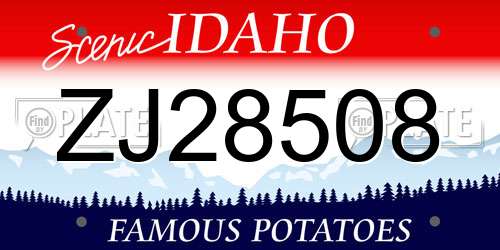 ZJ28508 Idaho License Plate